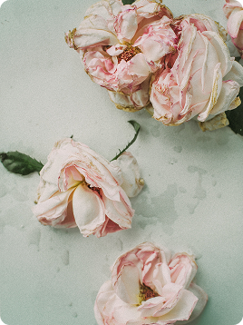 looseflowers