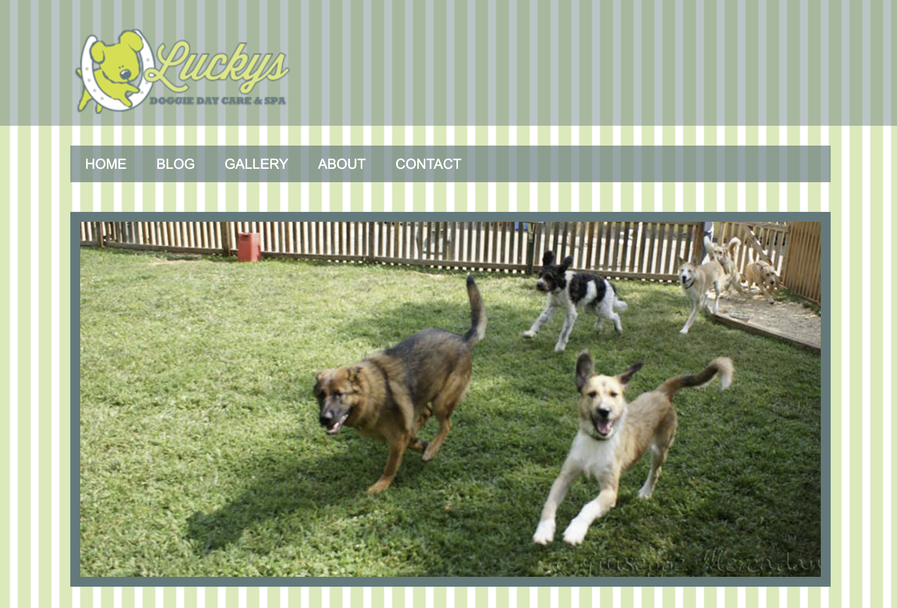 Lucky's preview